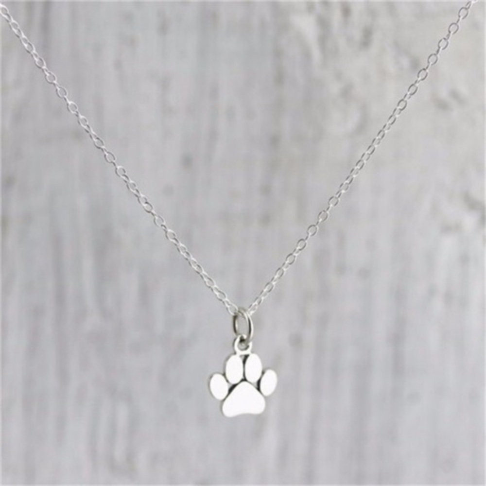 ⭐️HP⭐️Paw Necklace Silver